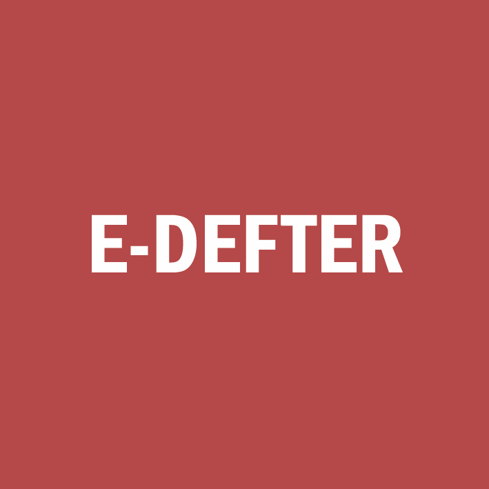 e-defter canias erp