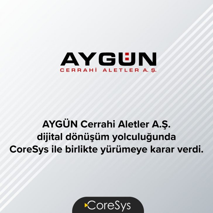 aygün aygün